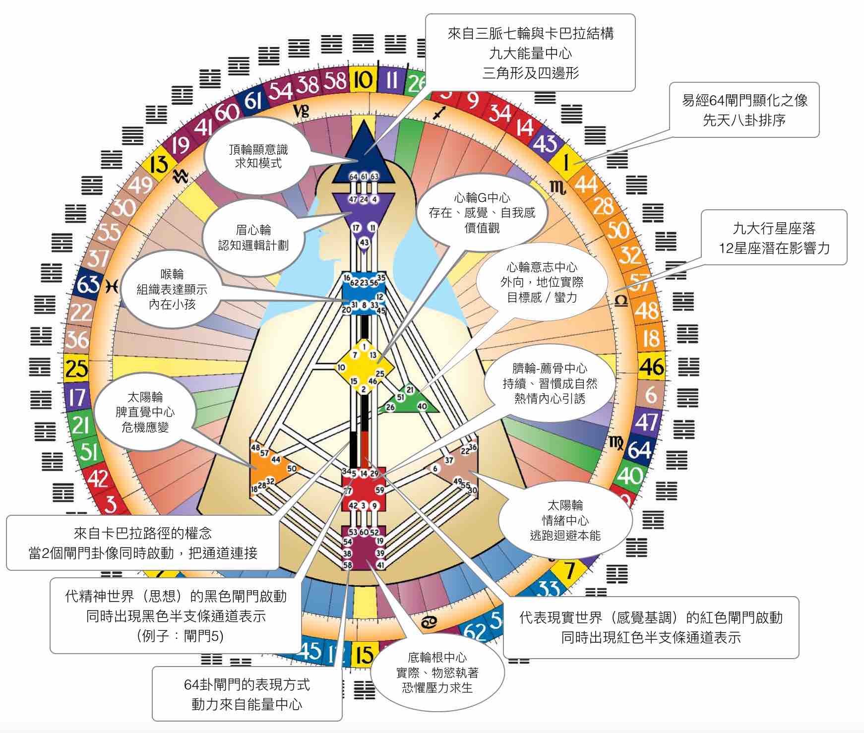 高階人類圖 人類圖 九大能量中心的正解